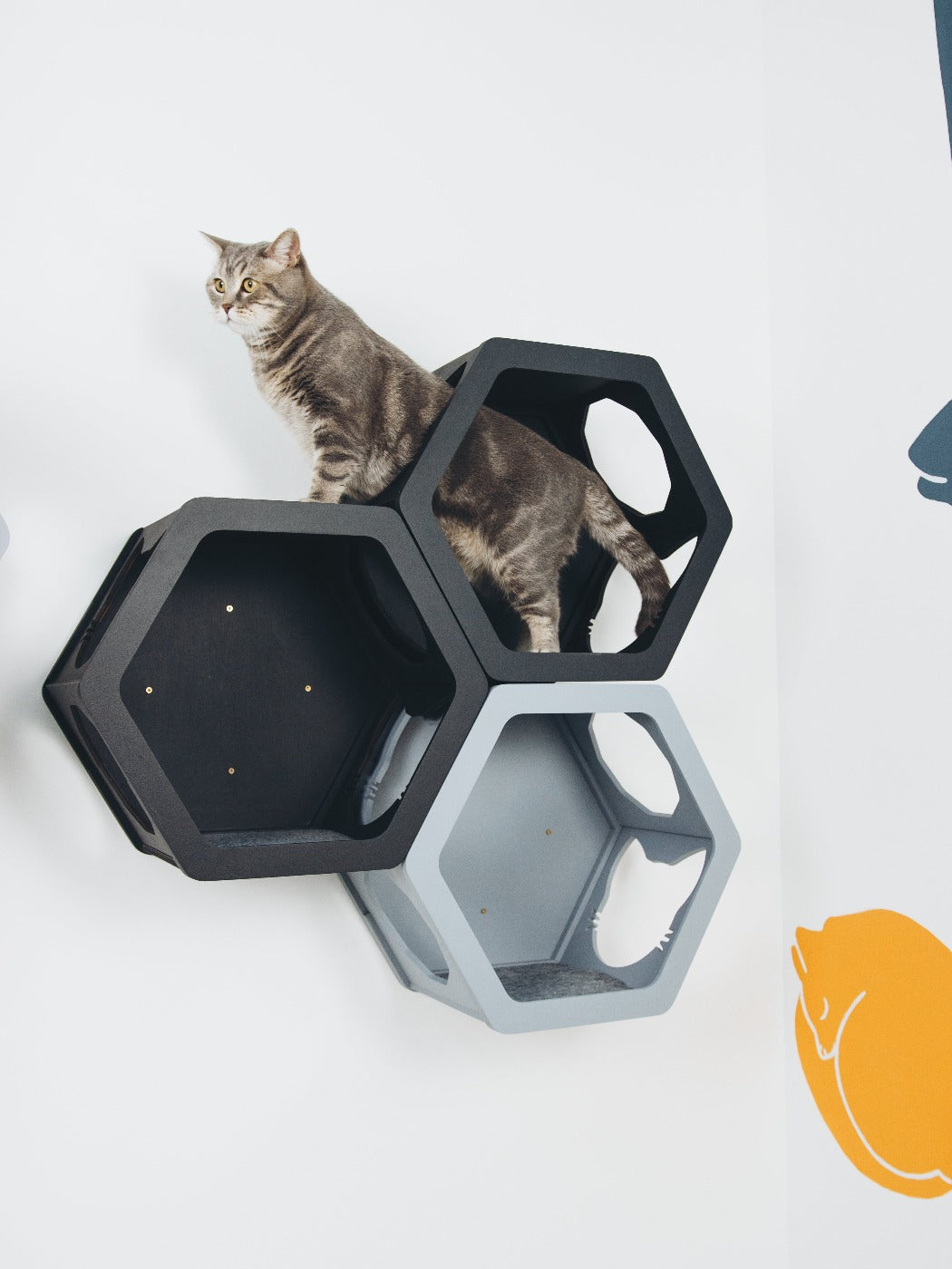 Grey & Black Mixed Cat Set - CatsMode