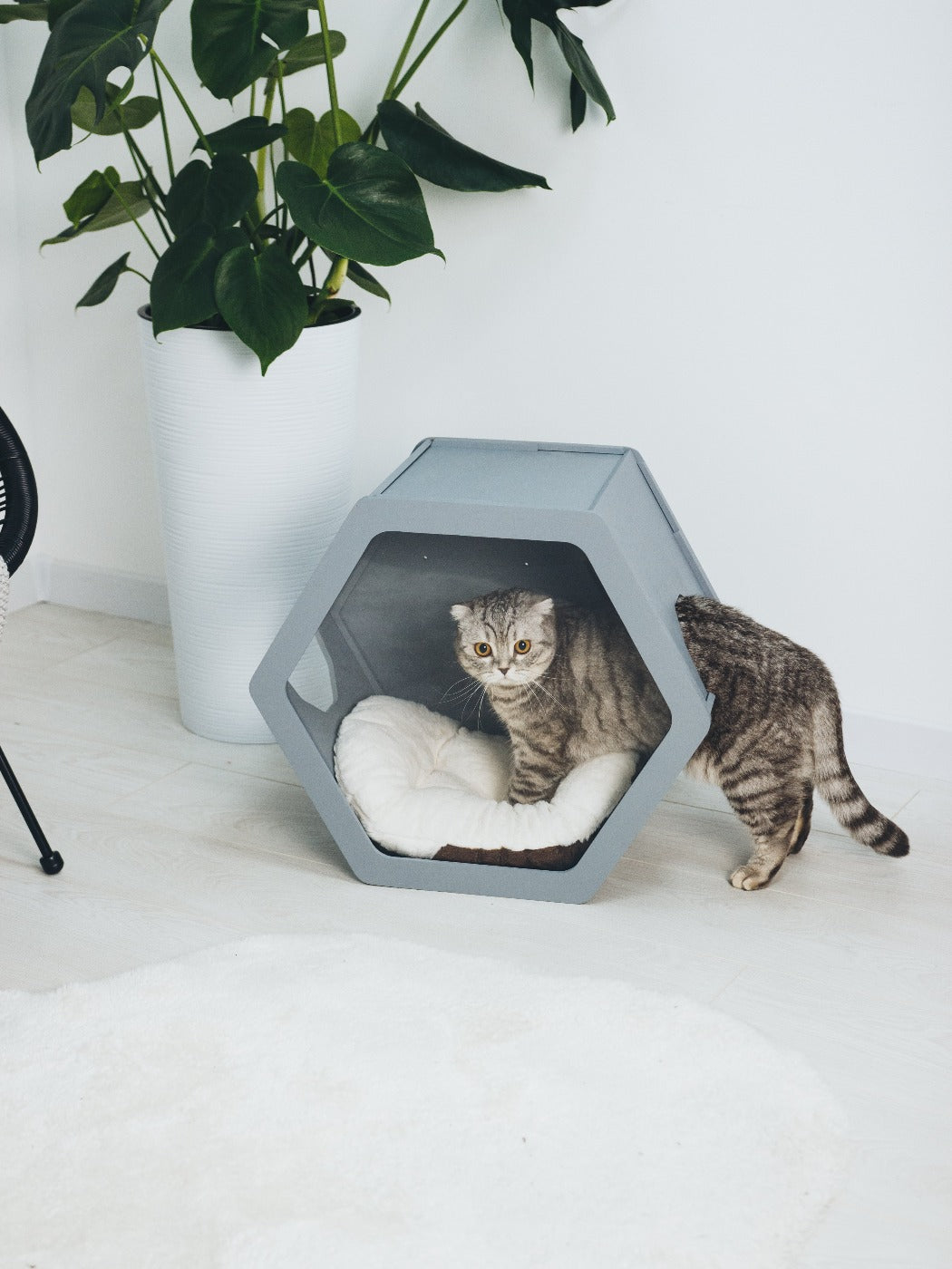 Grey Wooden Cat house - CatsMode