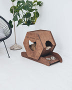 cats stand wooden