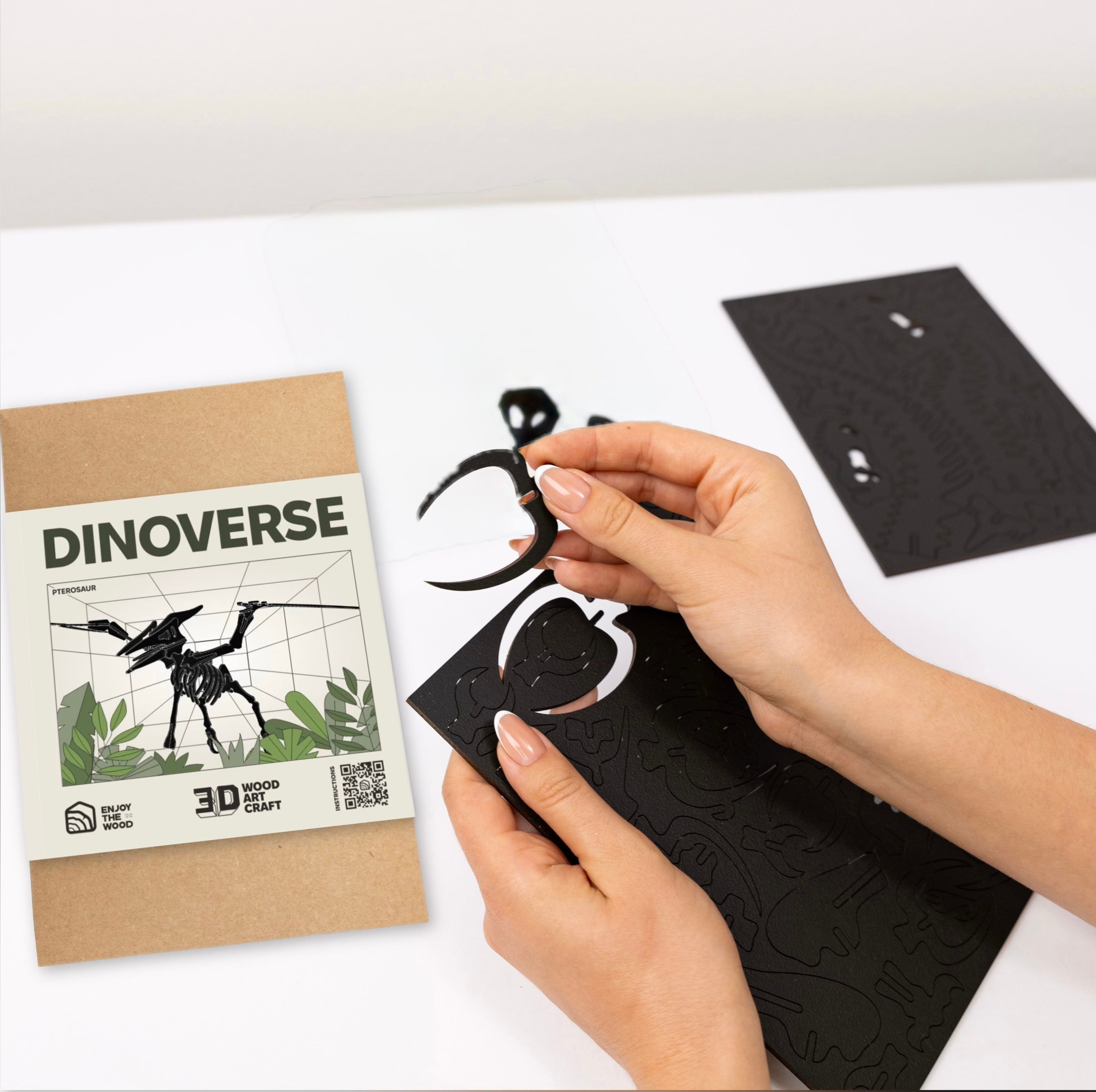 Black 3D Pterosaur DIY Kit