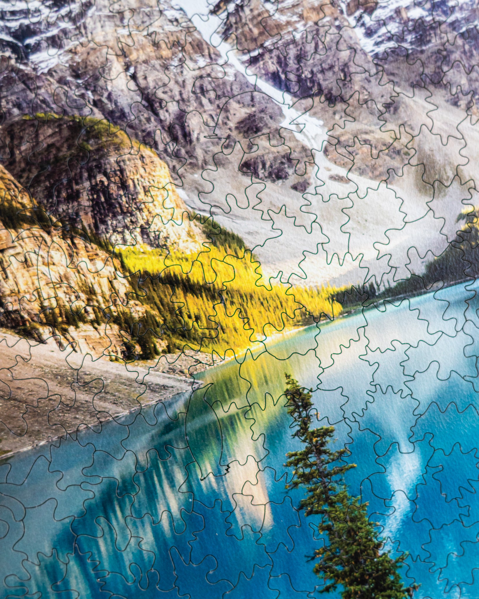 Puzzle National Park Banff