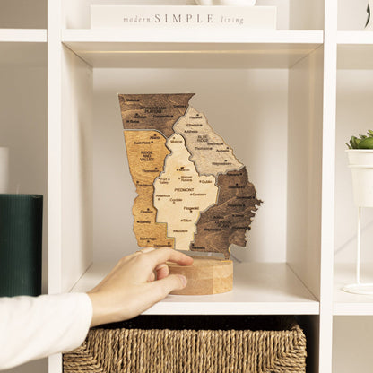 Night Light - Map of Georgia State