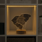 Night Light - Map of  South Carolina State