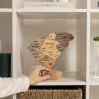 Night Light - Map of  South Carolina State