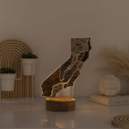 Night Light - Map of  Texas State