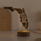 Night Light - Map of Florida State