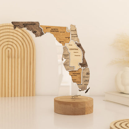 Night Light - Map of Florida State