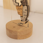 Night Light - Map of Florida State