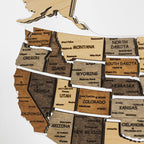 Night Light - Map of USA