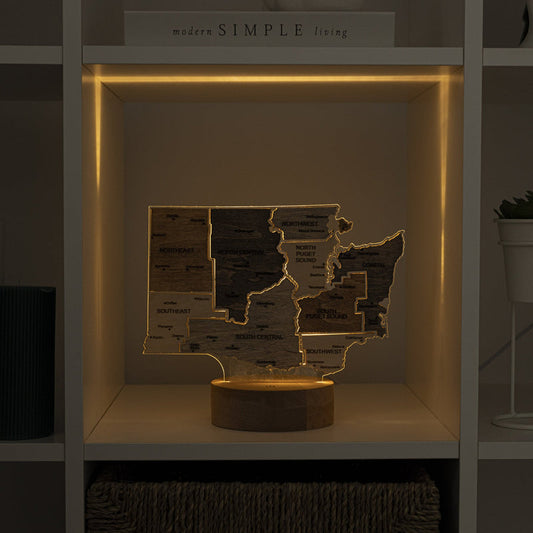 Night Light - Map of Washington State