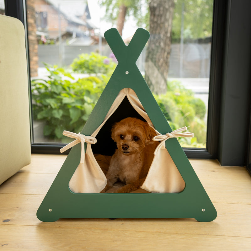 Pet Teepee - Green