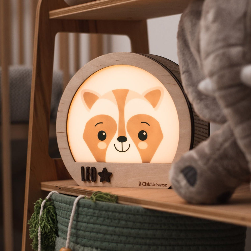 light night raccoon
