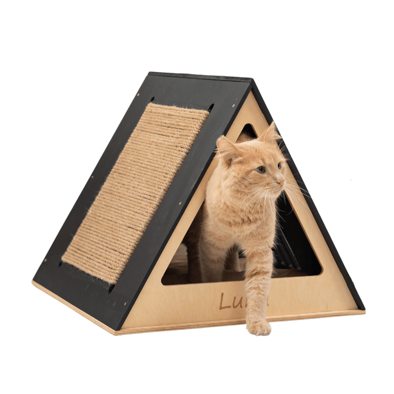 Stylish Wooden Cat Houses