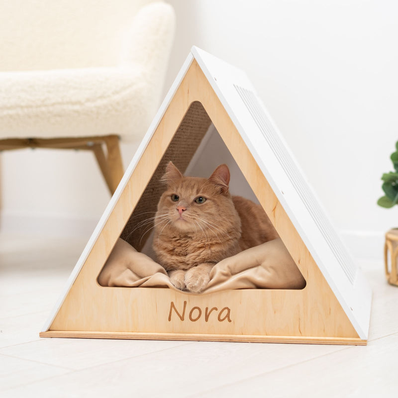 Stylish Wooden Cat Houses