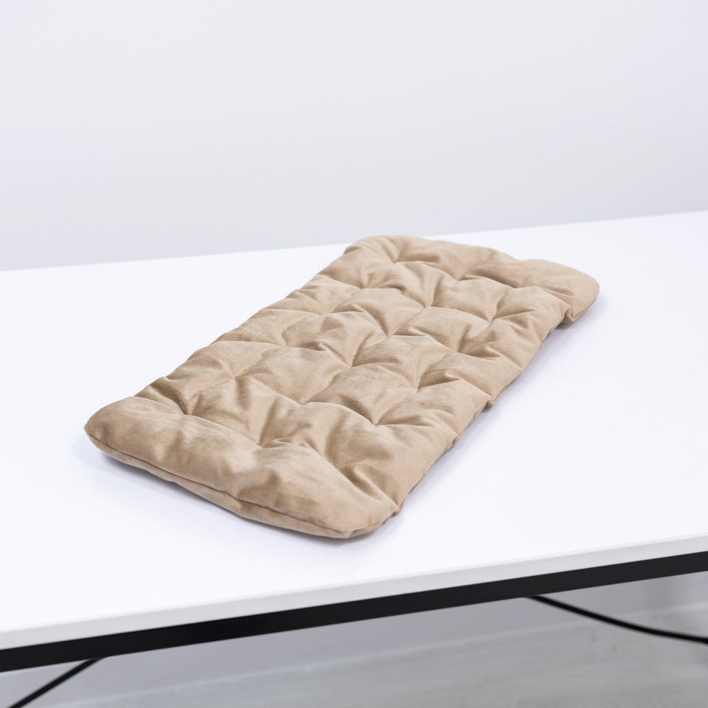 sleeping cat pillow
