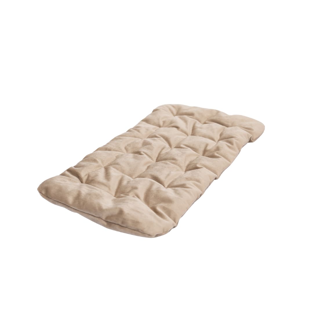 sleeping cat pillow