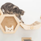 cat bed on wall