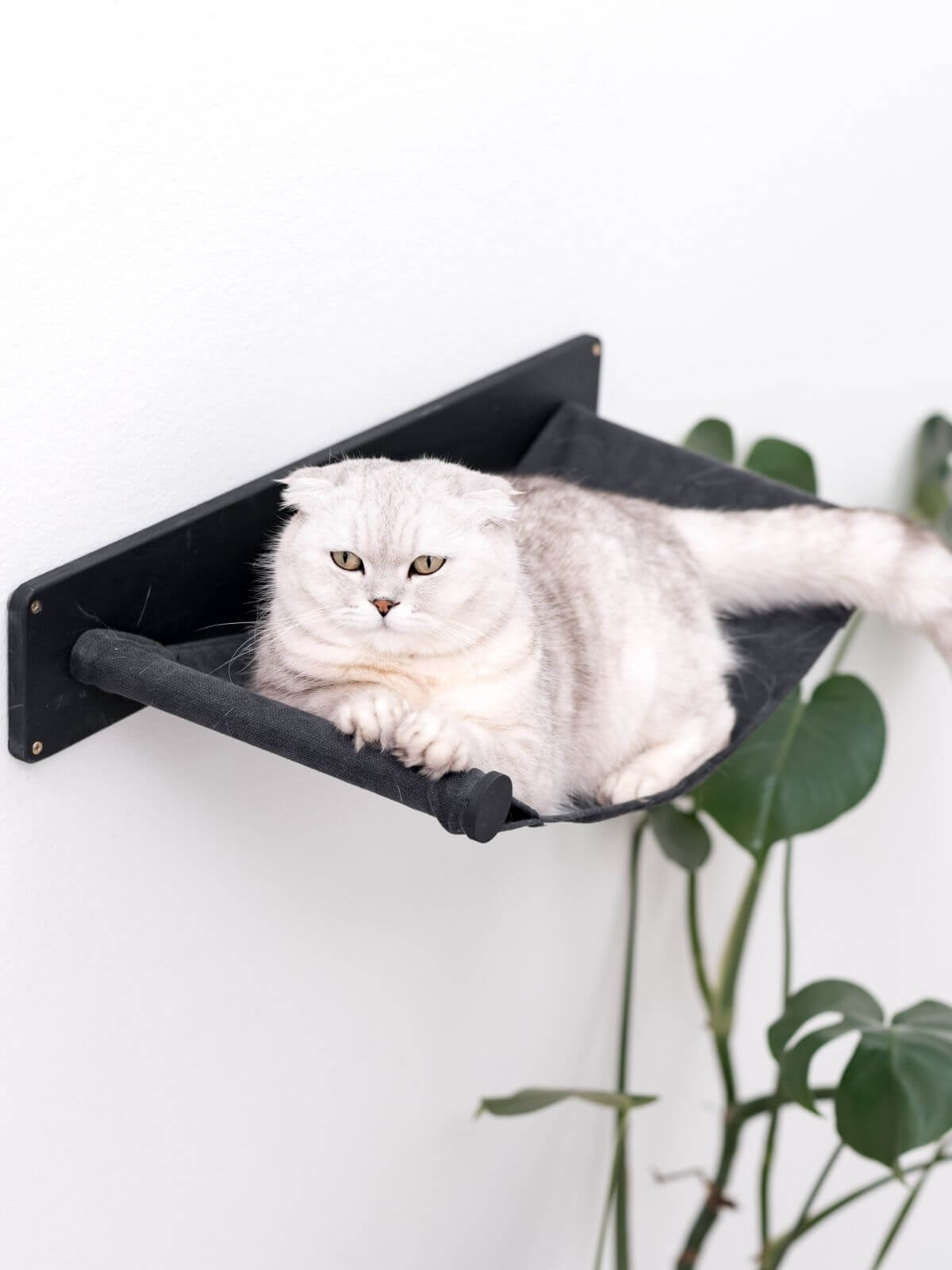 cat hammock shelf in black color made from wood