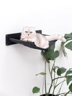 black wood cat shelf hammock