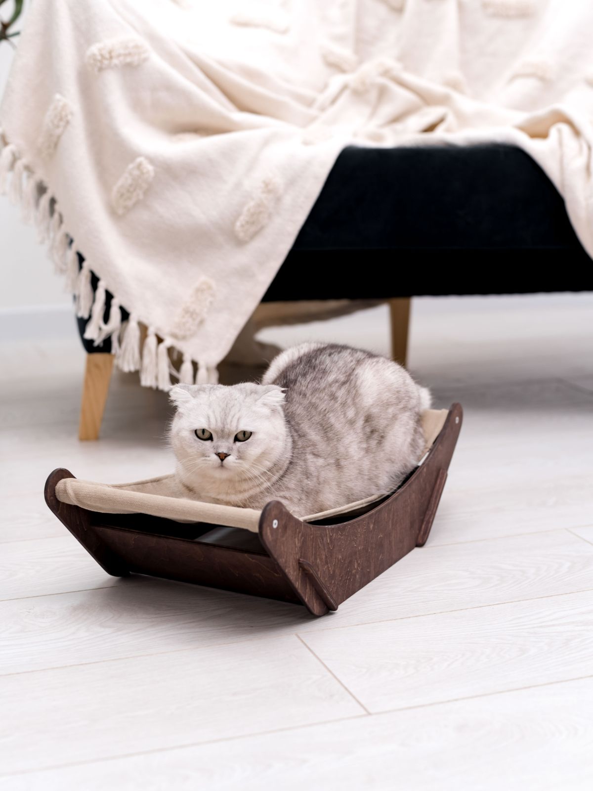 cat hammock bed made from wood