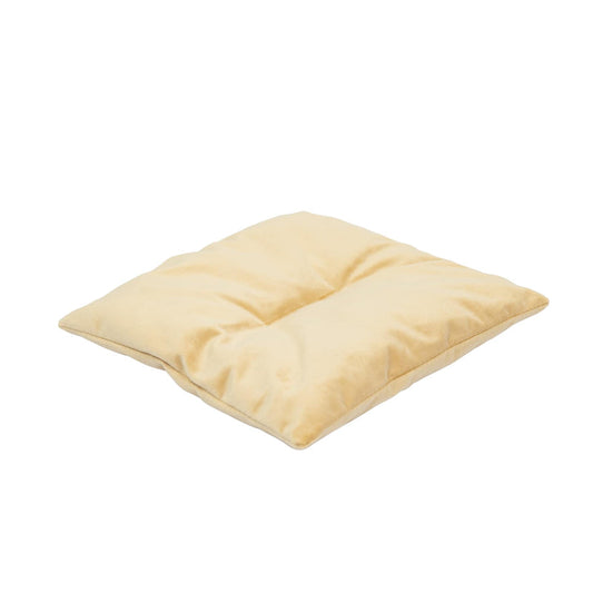 Cat Cushion Pillow - Yellow
