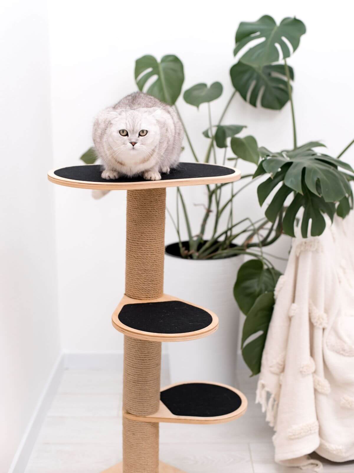 climbing cat tower made from wood