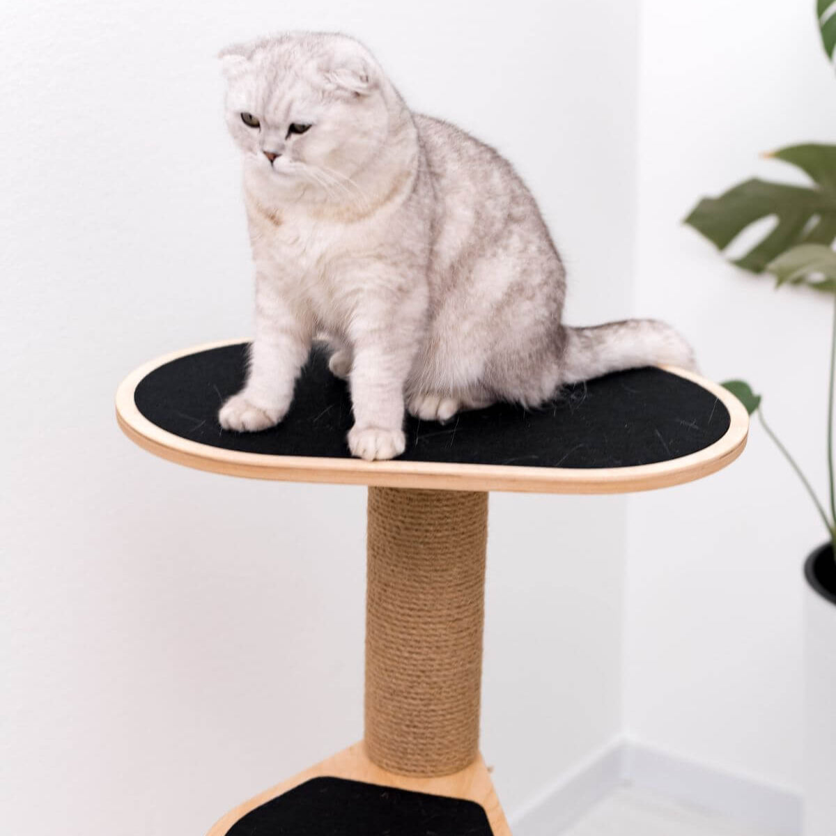 cat tower for small spaces