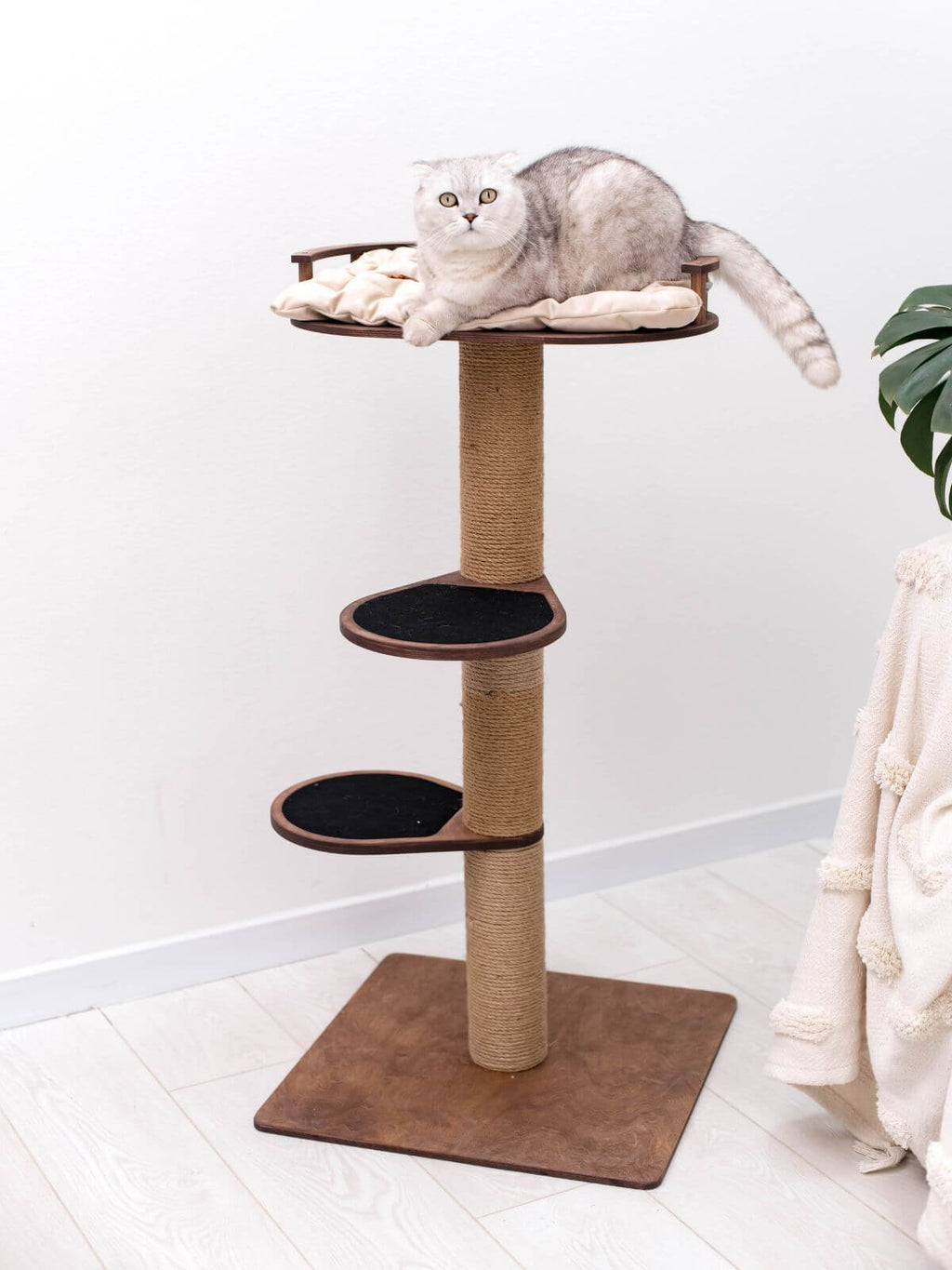 natural wood cat tree with cat cushion on the top