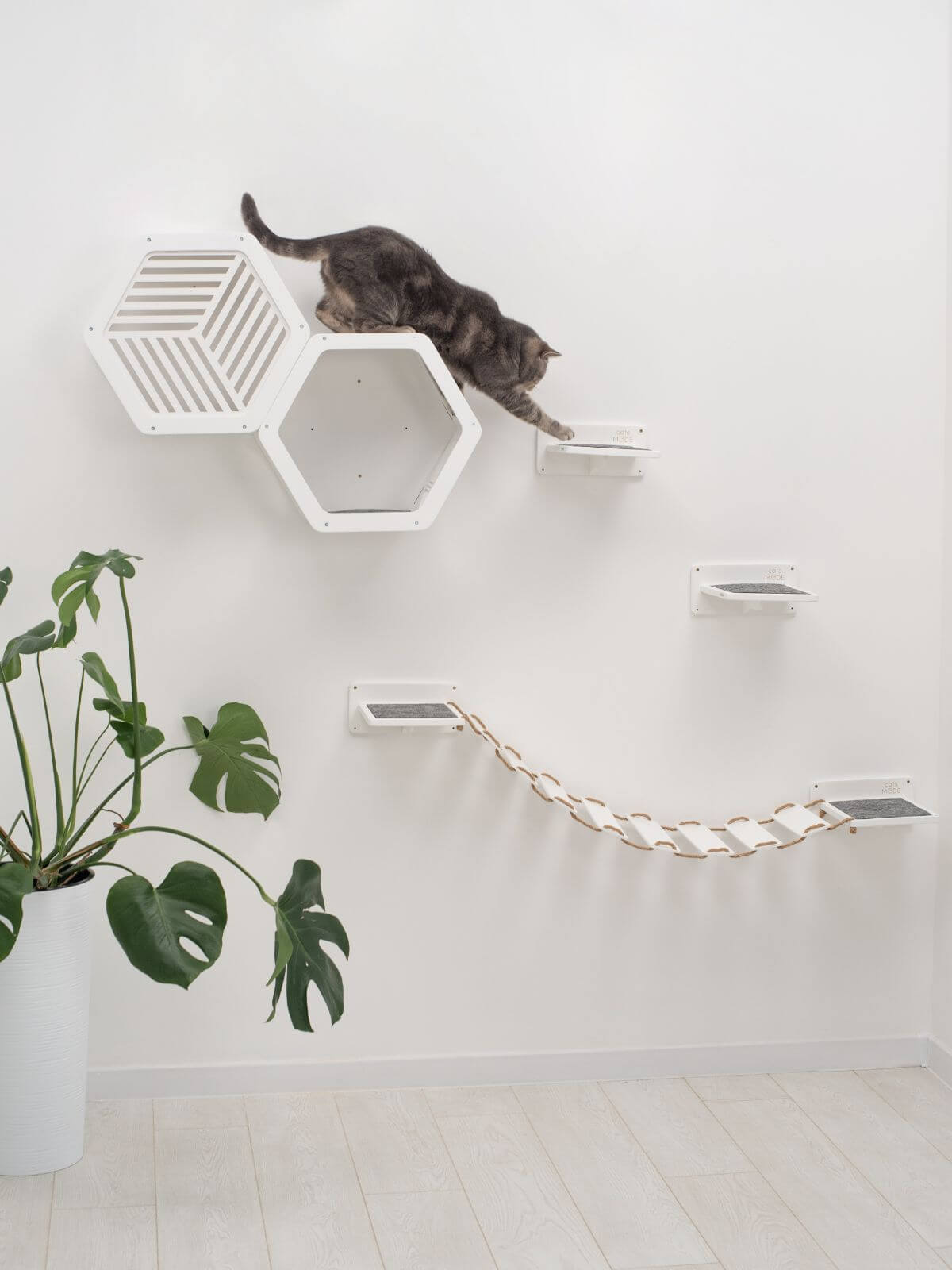 wooden cat shelf in white color with cat on it