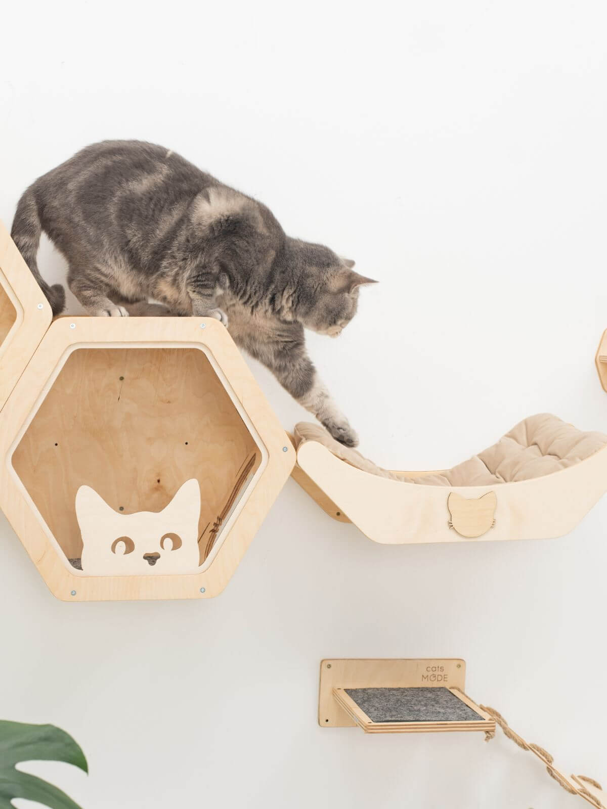 curved floating cat shelf