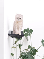 cat shelf hammock in white color