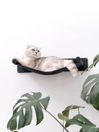 cat shelf hammock personalized with cat's name