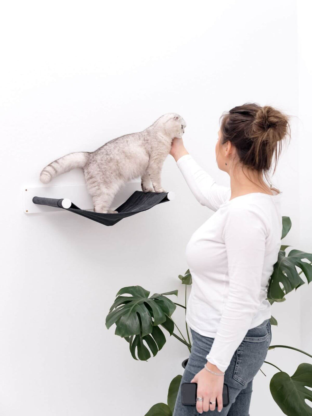 cat hammock shelf in white color