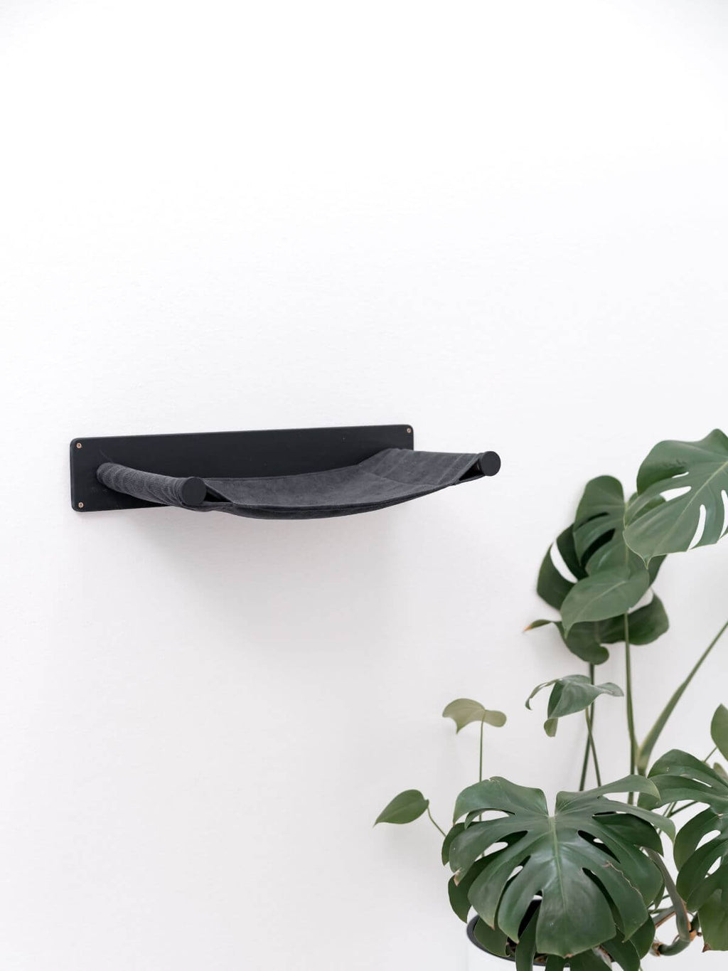 cat shelf hammock