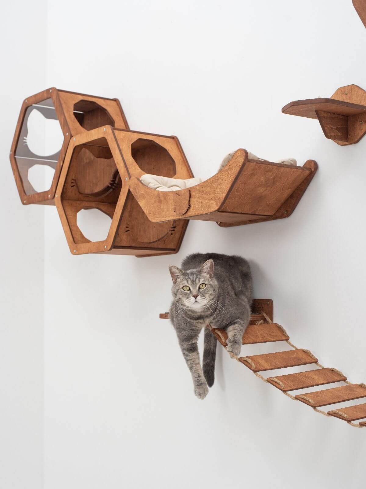 floating cat shelf bed