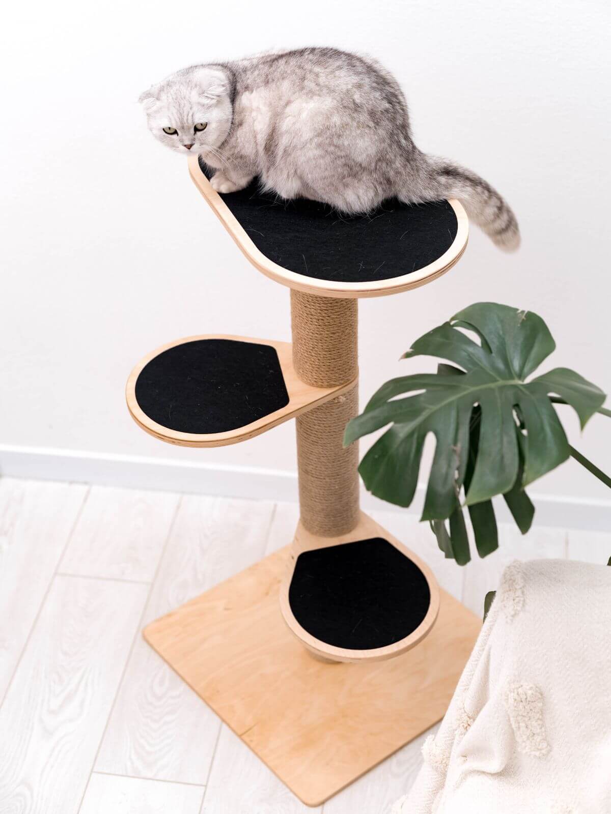 cat tower small