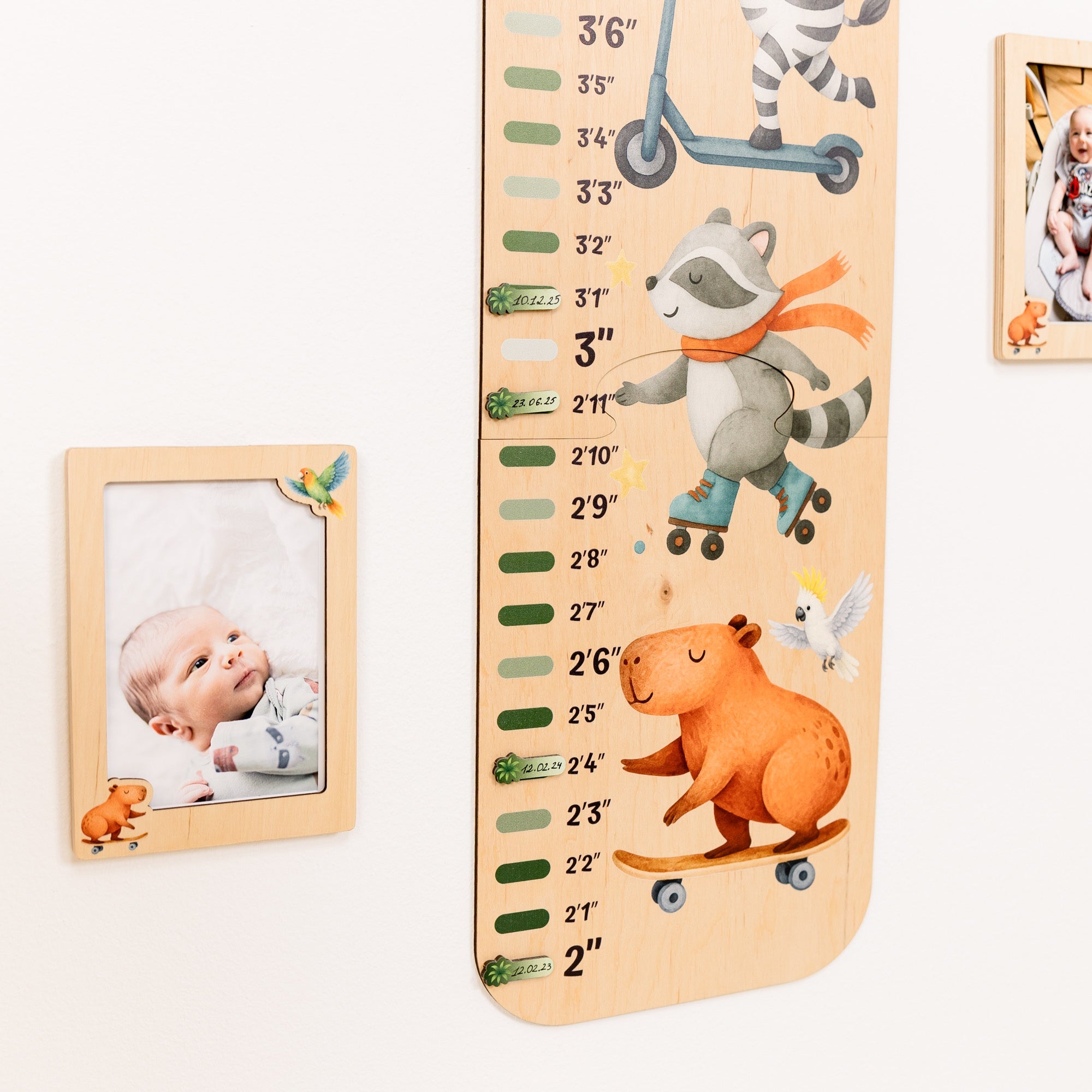 Child Growth Chart - Jungle