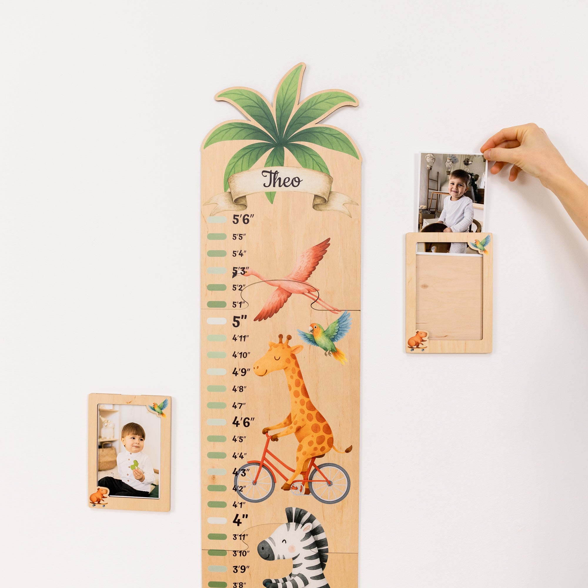 Child Growth Chart - Jungle