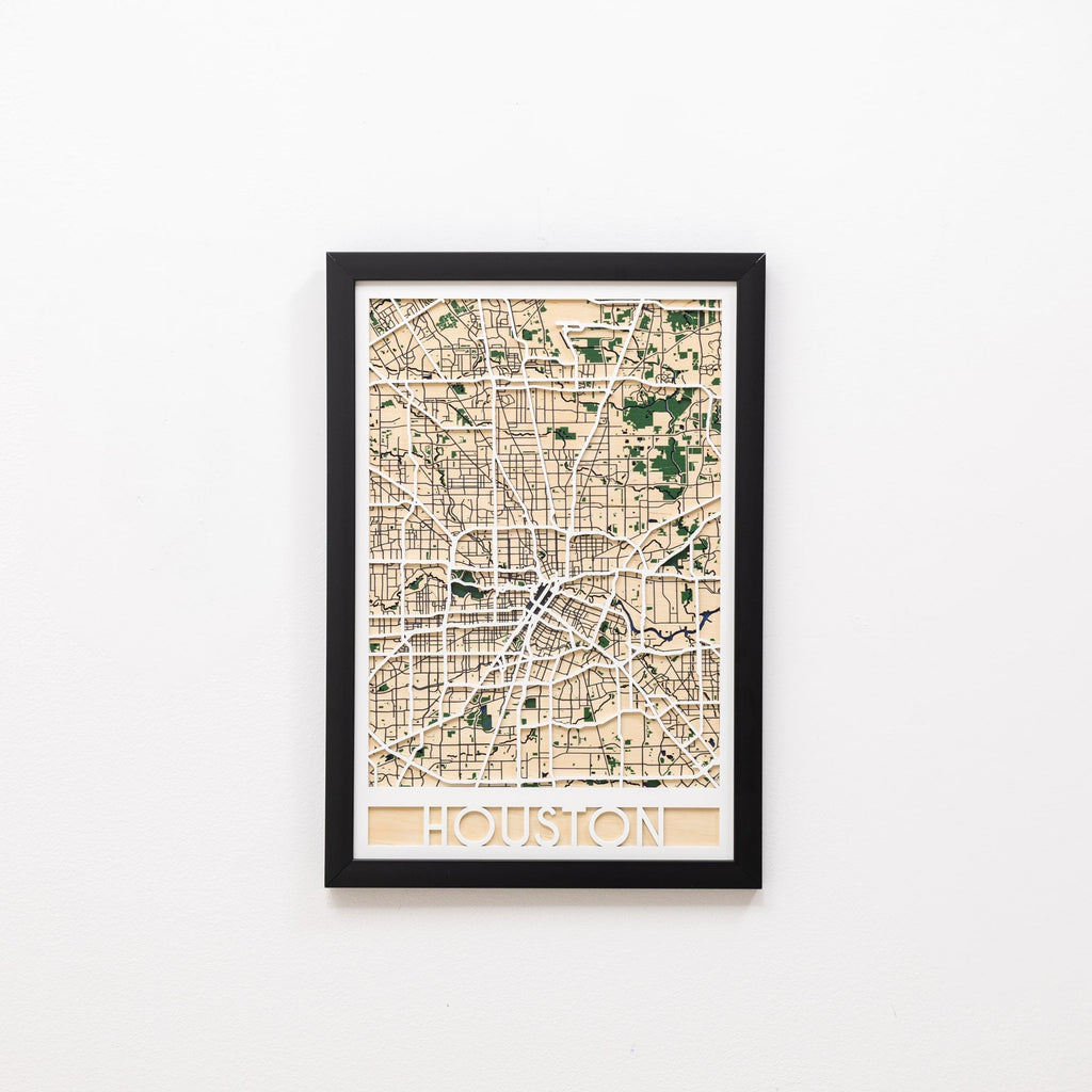 3D City Map Houston