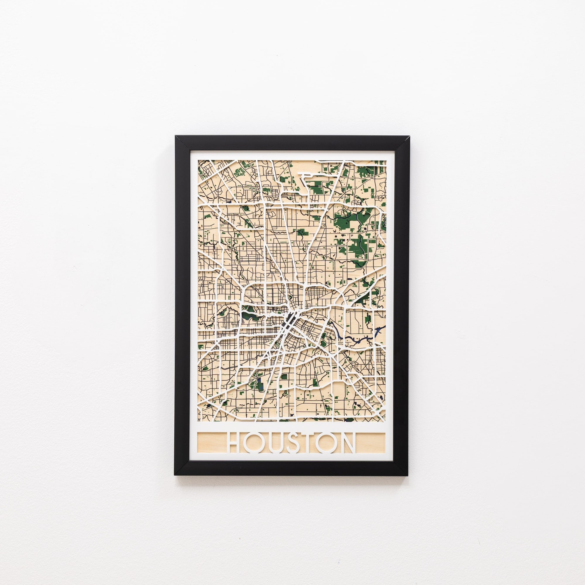 3D City Map Houston