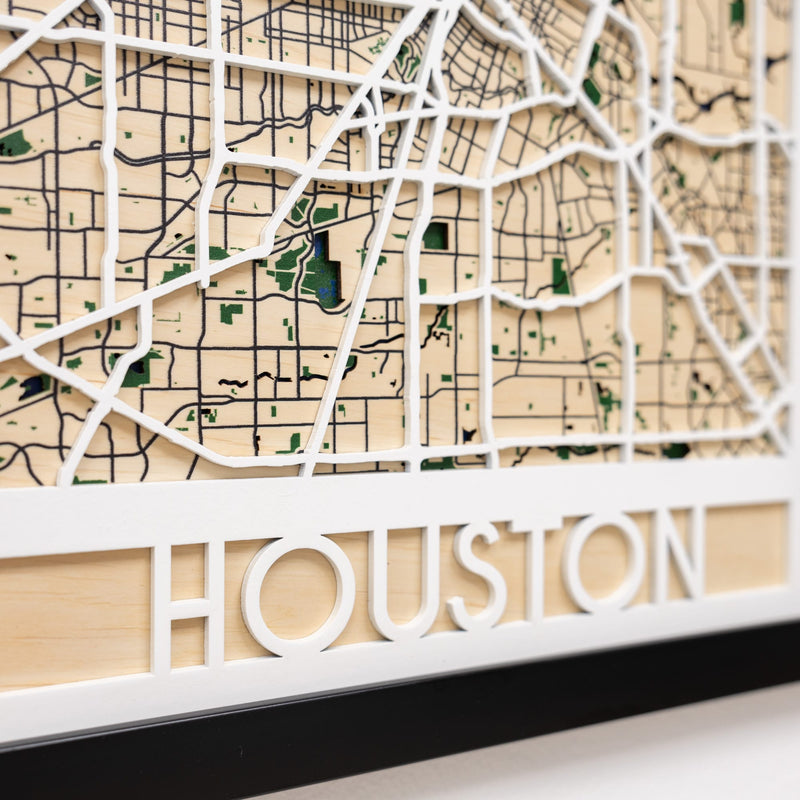 3D City Map Houston