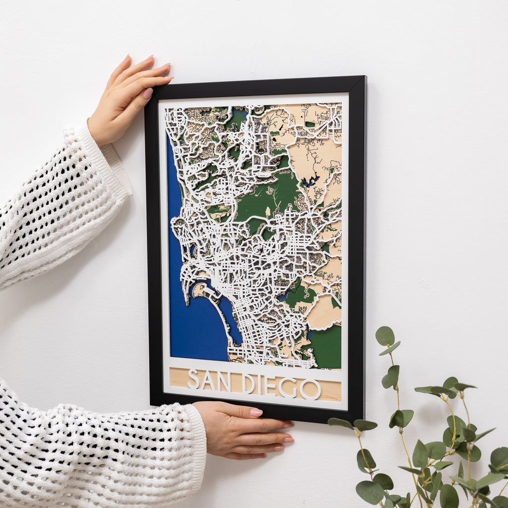 3D City Map  San Diego