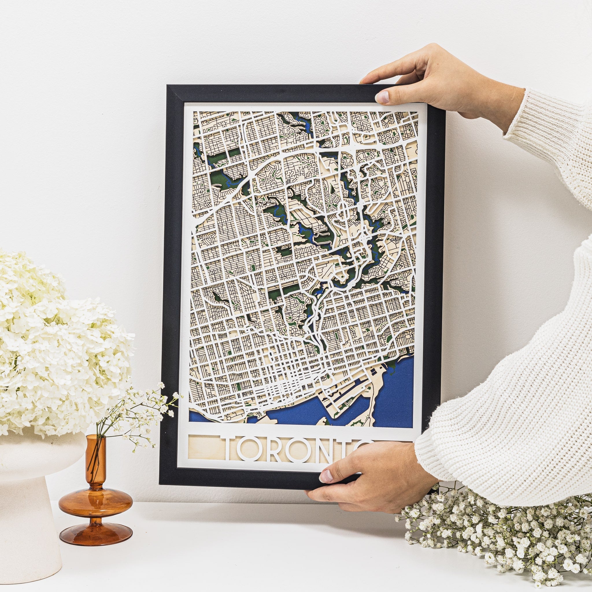 3D City Map Toronto