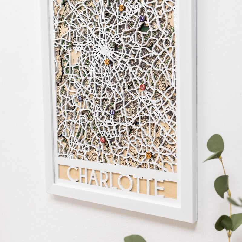 3D City Map  Charlotte