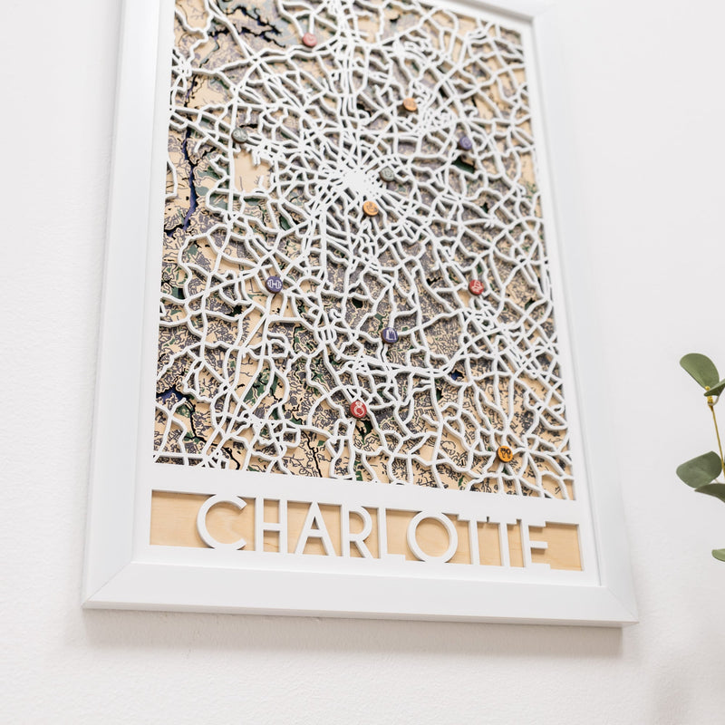 3D City Map  Charlotte