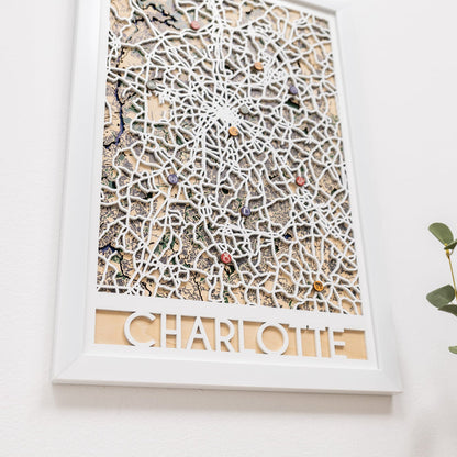 3D City Map  Charlotte