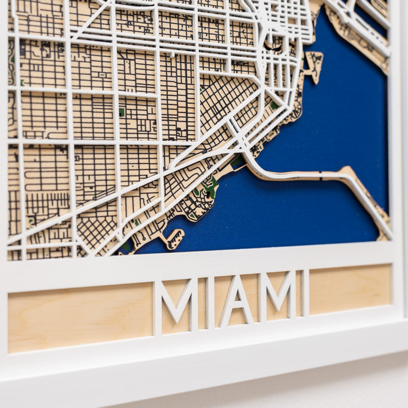 3D City Map  Miami