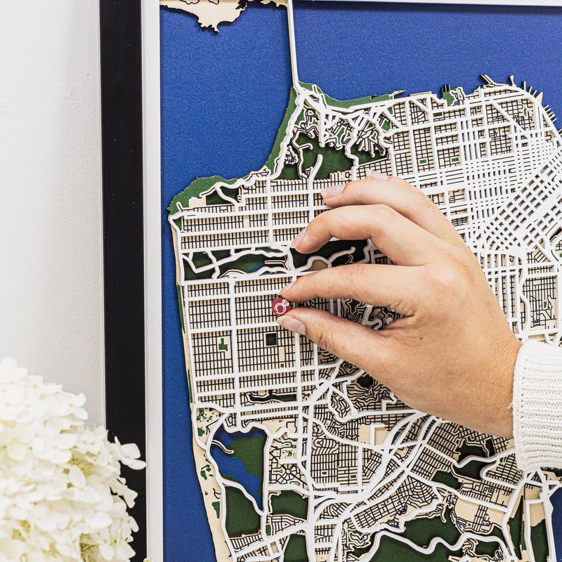 3D City Map San Francisco