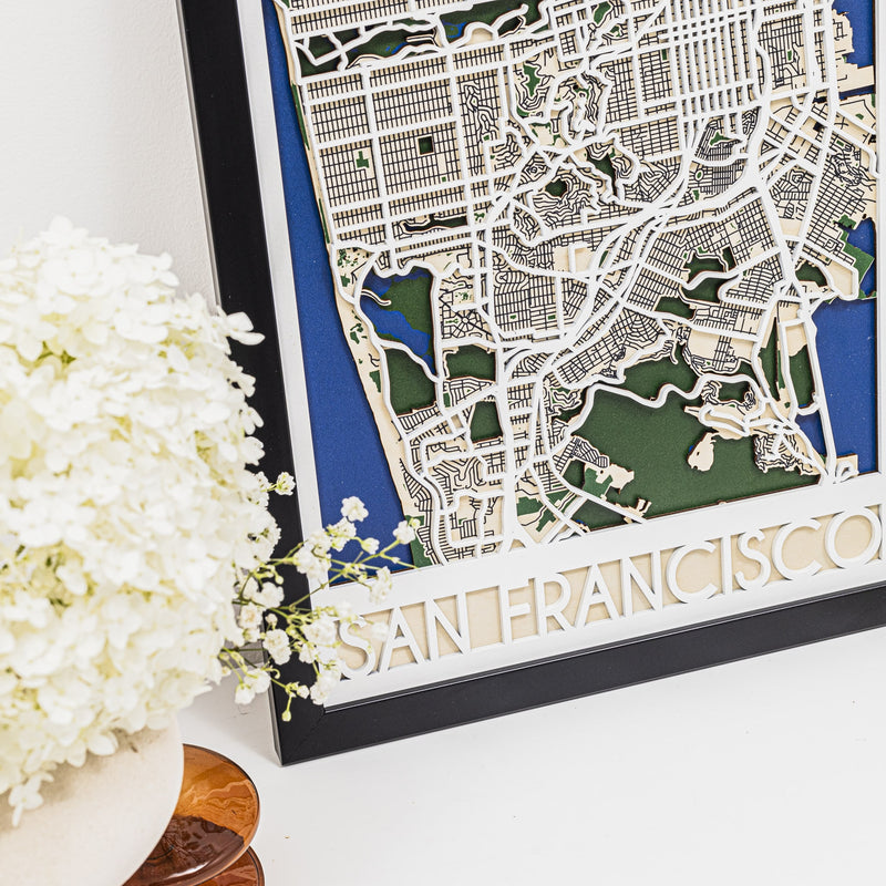 3D City Map San Francisco