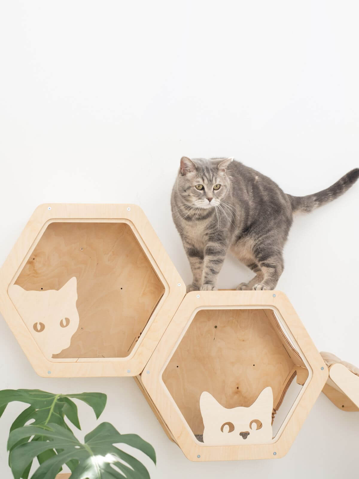 cat hexagon shelf made from wood in light color